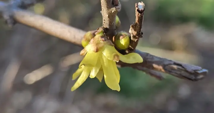 既不买房也不买车的理由