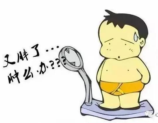 bmi|又胖了，怎么办？