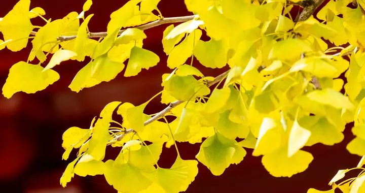 大战在即，销售管理者要做好这5件事