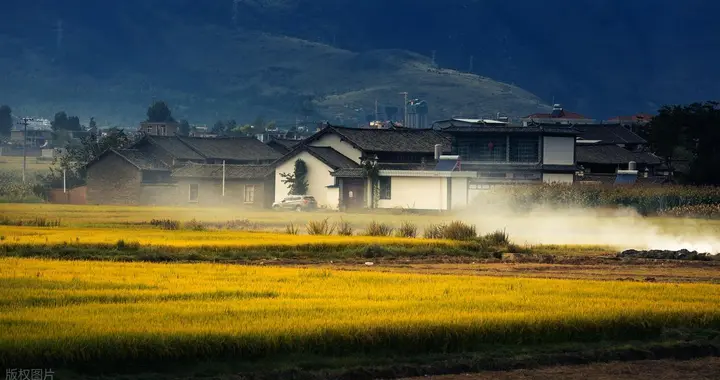 25094期，大乐透，不同出号码，杀号预测