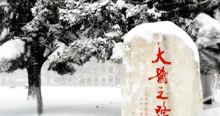 一所性价比“极高”的中医药大学！2026“中分段”首选