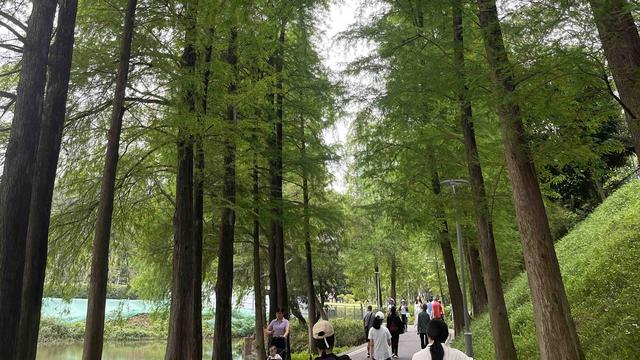 爿达：命里带财的人，身上都有这3个特征