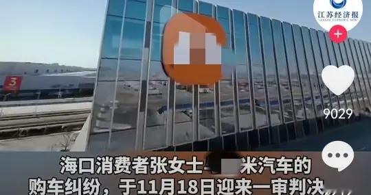 央媒发声！有车企要买车人“未交车先交全款”，另类创新破坏公平