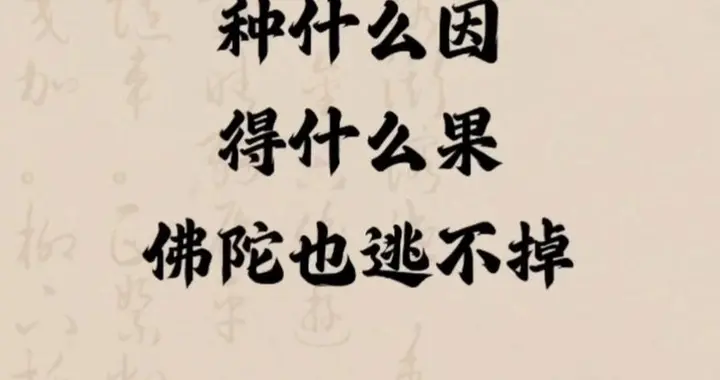 别信妖言！心善有格局，方为人间顶配
