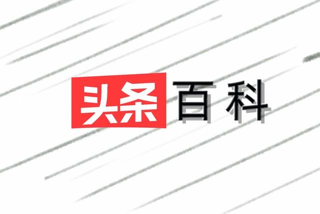 今日头条爆款秘籍：15个核心方法让你流量起飞！