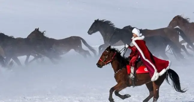 从“被去世”到紧急辟谣贺娇龙的生死48小时与媒体的“抢发之痛”