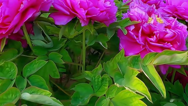 野岩：赚不到钱时，先把这几件事做到极致