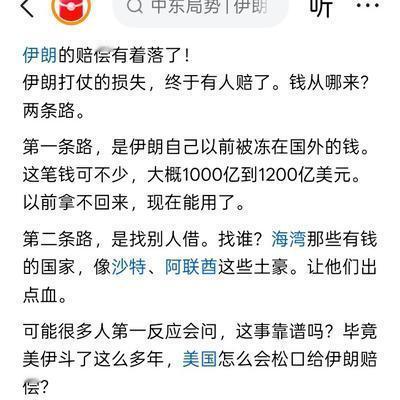 友爱海燕Rq：美妙幻想？ 即便是美国和以