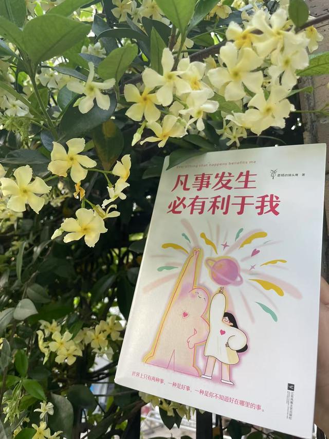 《凡事发生必有利于我》：低能量女孩的“自救”指南