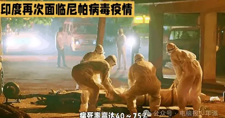 高致死率叠加人传人风险，印度尼帕病毒再度暴发