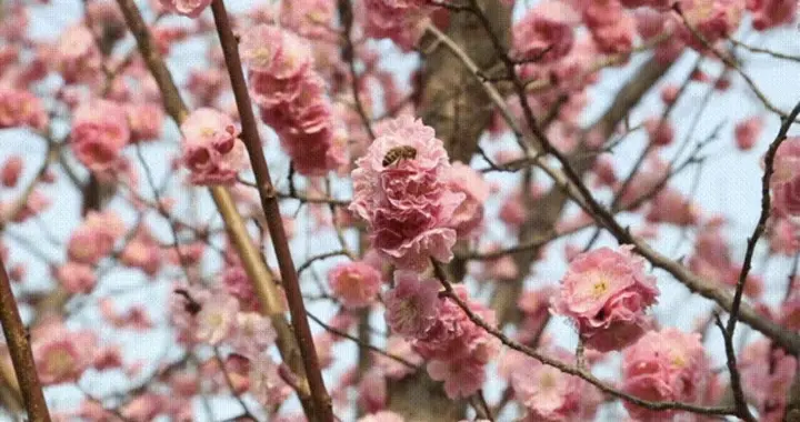 当妈以后，最不敢崩溃的就是自己