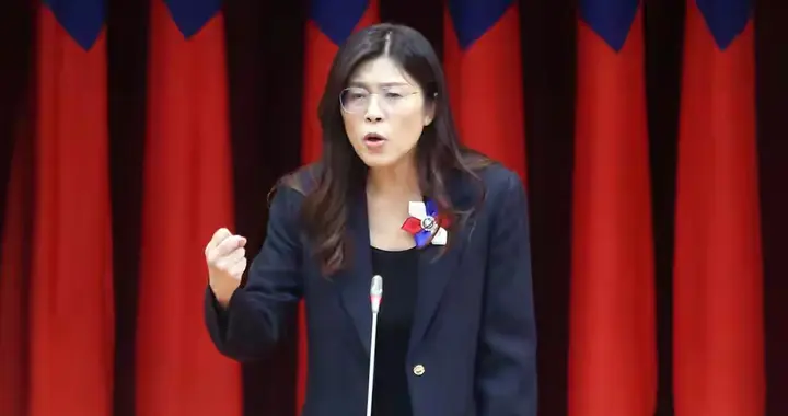 郑丽文的两岸和平的谜底竟然是盟友关系，欧盟模式不可能
