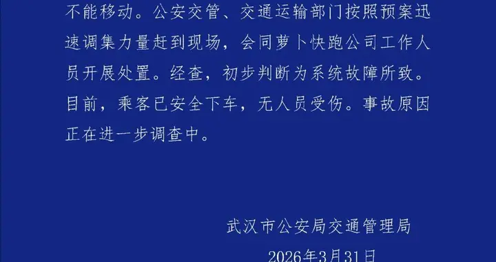 凌晨两点才拖完！武汉无人车发生停摆，网约车司机的“回光返照”