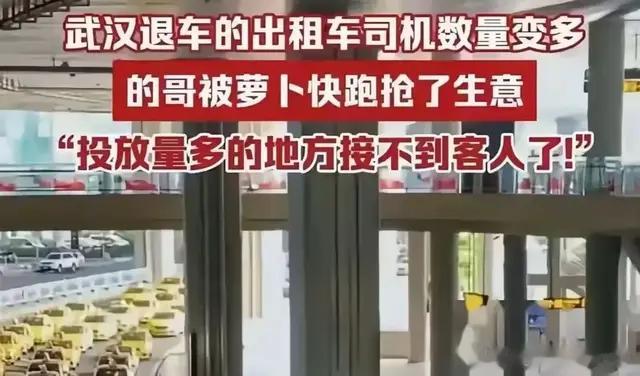 前段时间轰轰烈烈的萝卜快跑怎么样了？