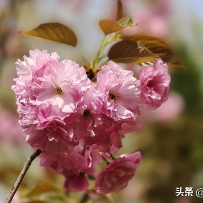 光影记录者_兰涛