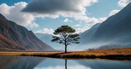 感情里最伤人的从来不是吵架，而是沉默