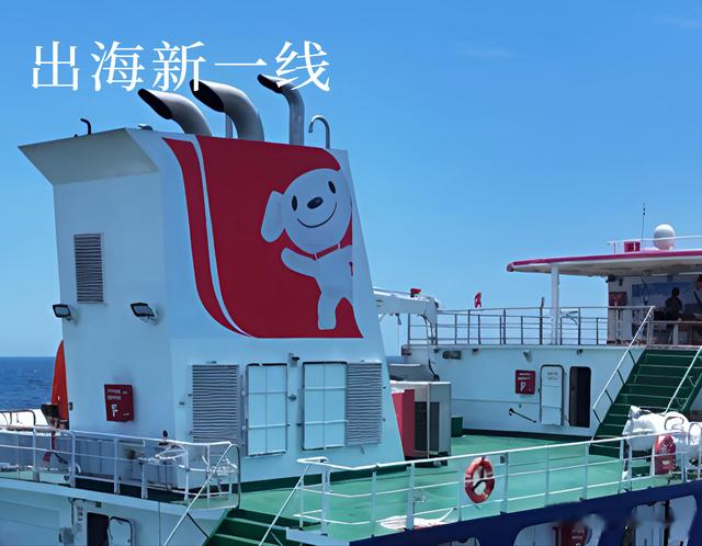 逆风出海，刘强东心里最后一个梦