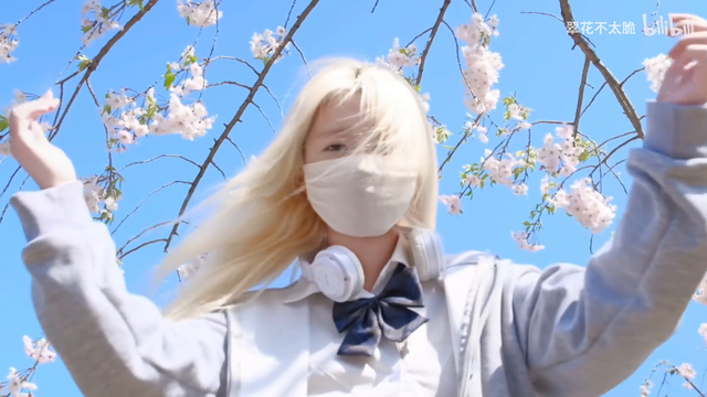 《春日审判录》