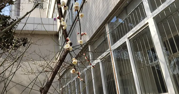 冬天手脚冰凉如何解决