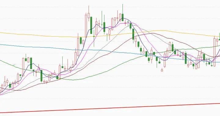 白酒到底了吗，逆势上车？