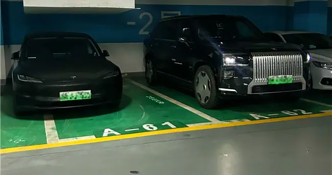 社恐特斯拉：极氪9X你不要过来啊~~~