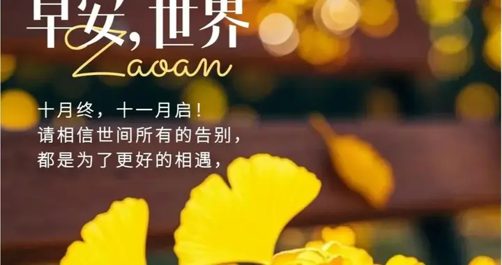 十一月，愿你我所行皆坦途，愿我们都能被生活温柔以待