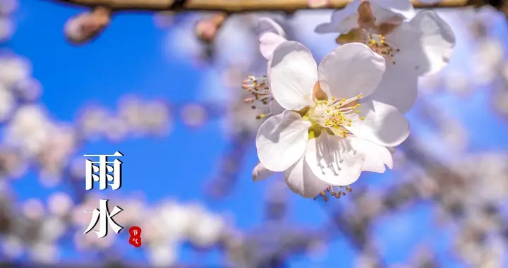 “半年旱涝看雨水”，明日雨水，今年是旱是涝早知道，有道理吗？