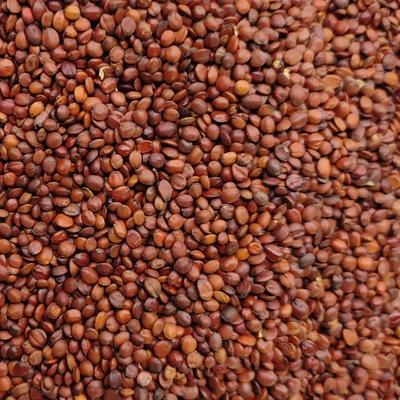 亳州中药材：今日亳州中药材市场部分药材价