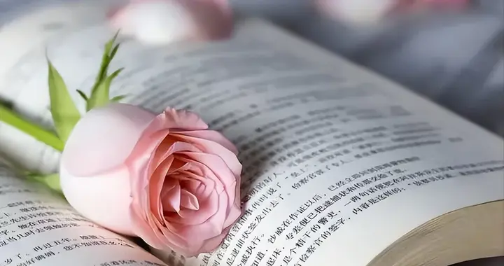 当一个女人开始这样对你，说明她已经离不开你，希望你主动一点