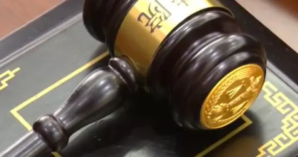 男子清明扫墓发现祖坟旁被种辣椒和槟榔苗，带人将329株槟榔苗全部拔除...