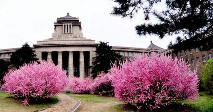 记忆长春丨新民大街忆旧