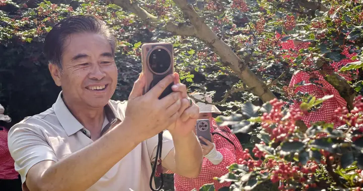 镜头为笔，记录“椒”香——摄影人冯志杰眼中的凤县花椒采摘季