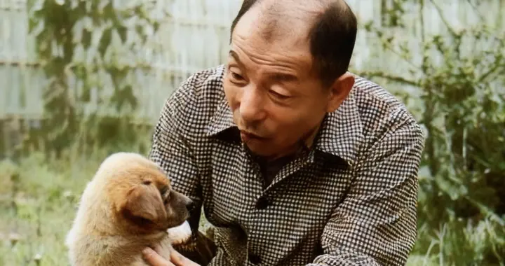 上世纪50年代，被抓拍的头发中秃的张学良逗狗照片