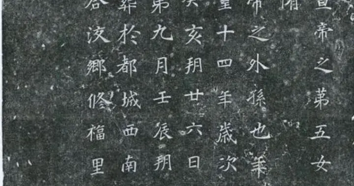 她是考古补的人，父亲是北周宣帝，祖父是杨坚，正史却无一字记载