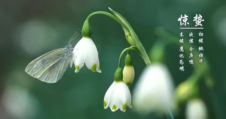 震蛰虫蛇出 惊枯草木开——白居易《闻雷》赏析