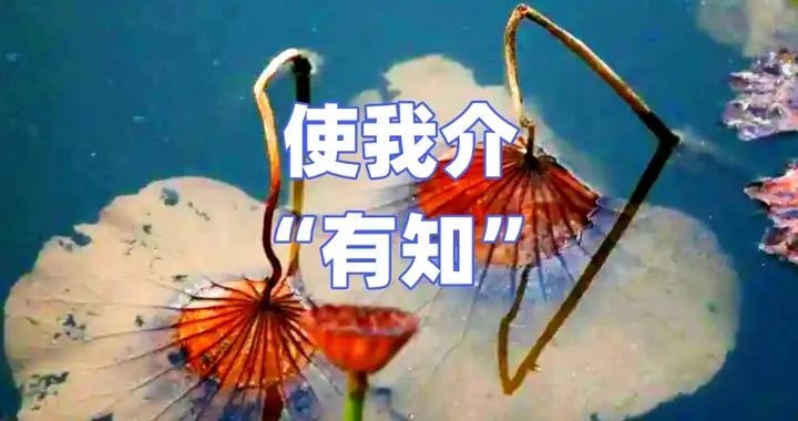 当官民严重对立时，将上下大溃，诺奖得主感叹：可惜不听老子言