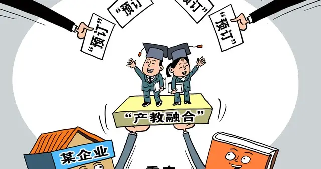 校企联合培养人才：高校教师实践教学职责与权益保障要点