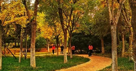 《彩色之恋》第一次见面，得病了！