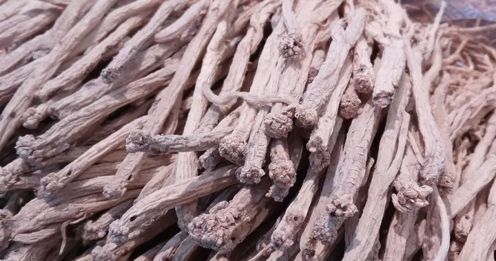 散结平喘高手！这样搭配，专克慢阻肺痰瘀