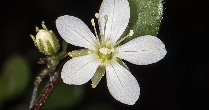 真正有魅力的女人，靠的不是外表，而是这2种独特气质