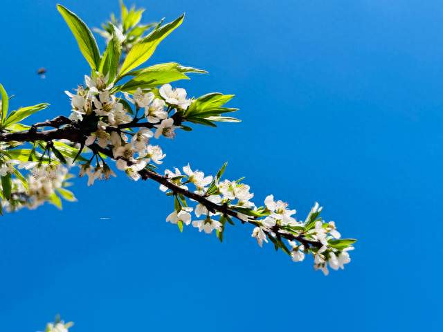 奉劝天下夫妻别总想着离婚，渐渐你会发现，跟谁过都一样甚至更糟