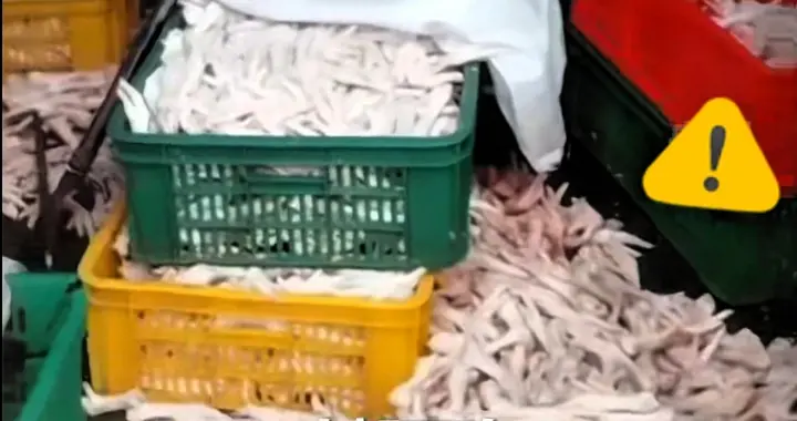 315年年曝光，违法却年年重来？因为罚得太轻了！