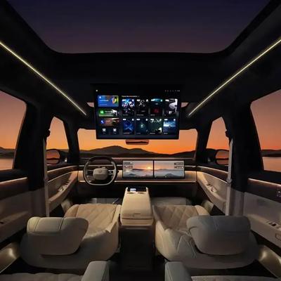 梦幻热情的小鱼：大