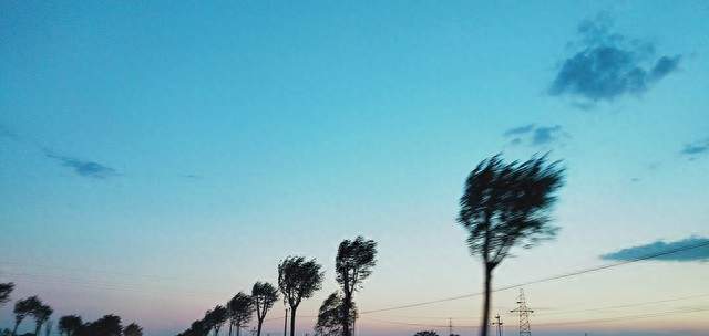 缘分像夏夜的风。不知它何时会来，燥热时，它刚好穿过你的指缝。