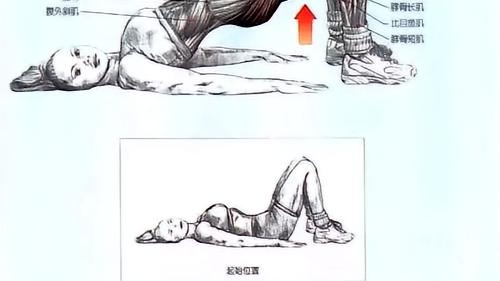 小飞分享：睡前做臀桥，好处多到超乎想象！