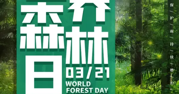 别再错过这份温柔！环保从不是苦差事，小事做起；治愈又正能量