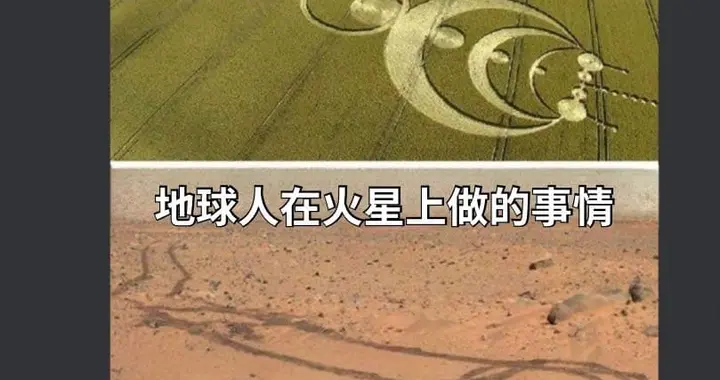 起猛了，外星人被AI害惨了