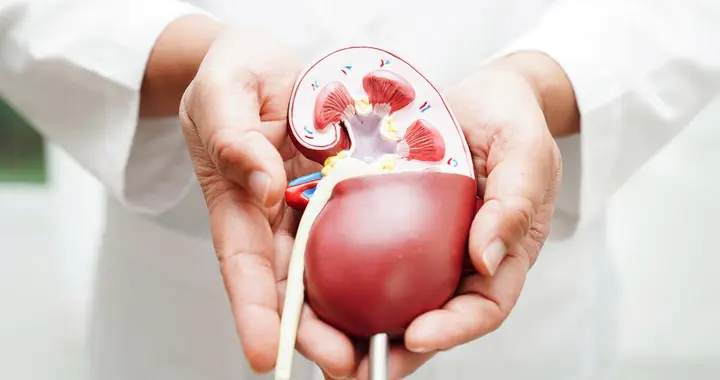 医生发现，每天吃番茄的肾病患者，不用多久，身体或有这3大变化