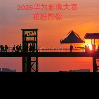 正直晚风5：2026华为影像大赛｜花粉影