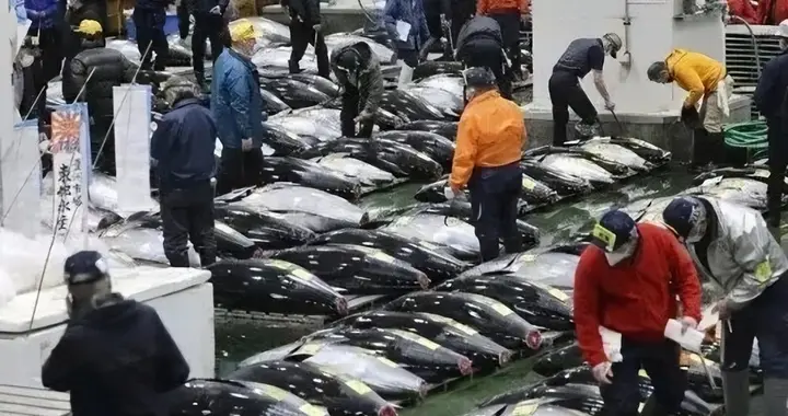 排完7800吨核污水，日本水产商哭了，中国海鲜卖遍全球